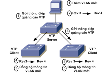 Các tiến trình VTP và chỉ số revision number