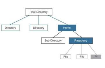 Cách sử dụng Linux Bash 