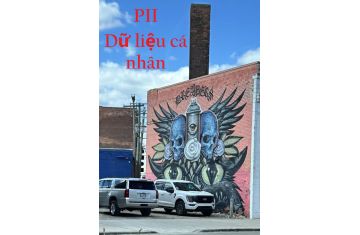 DỮ LIỆU CÁ NHÂN (PII) – 