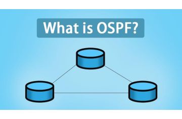 GIAO THỨC ĐỊNH TUYẾN OSPF PE-CE