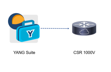 Hướng dẫn thực hiện NETCONF và RESTCONF GUI sử dụng YANG SUITE (phần 1)