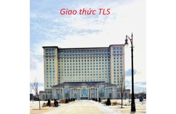 Khám Phá Thế Giới SSL/TLS – “Lá Chắn Vàng” Bảo Vệ Dữ Liệu Của Bạn! 