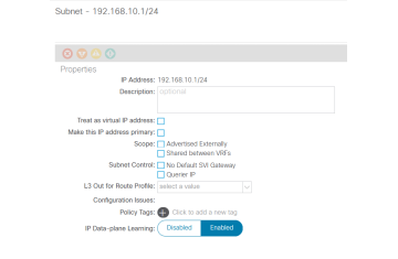 LAB L3OUT BGP