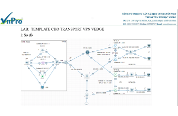 LAB:  TEMPLATE CHO TRANSPORT VPN VEDGE