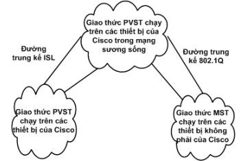 PVST và STP chạy trên đường trung kế