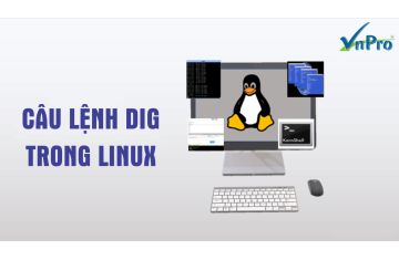 Sử dụng dòng lệnh dig trong Linux để tìm hiểu chi tiết DNS