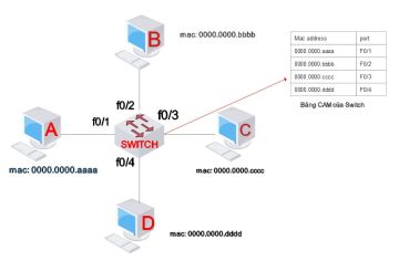 TẤN CÔNG BẢNG CAM