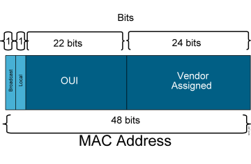 Tổng quan về Ethernet Frame và MAC address