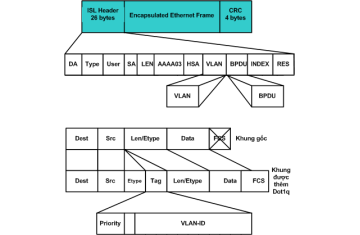 VLAN trunking: ISL và 802.1Q