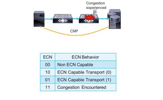 ECN – Công nghệ giúp giảm tắc nghẽn mạng mà không cần mất gói!