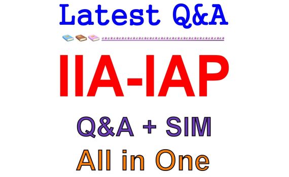IIA-IAP – Tâm Điểm Bắt Đầu Của Kiểm Toán