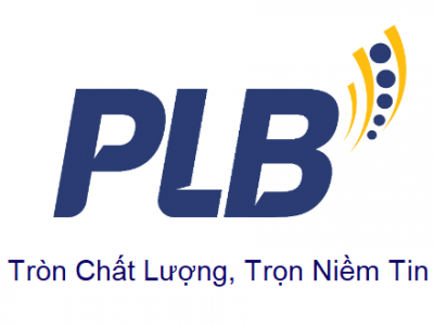 CÔNG TY TNHH PLB VIỆT NAM TUYỂN DỤNG NHÂN VIÊN IT