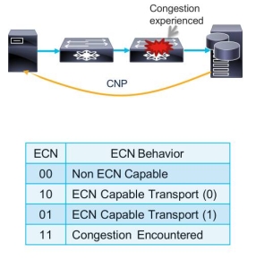 ECN – Công nghệ giúp giảm tắc nghẽn mạng mà không cần mất gói!