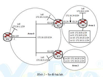 LAB 4 - NETWORK TYPES