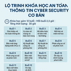 Lộ trình khóa học An toàn thông tin Cyber Security cơ bản