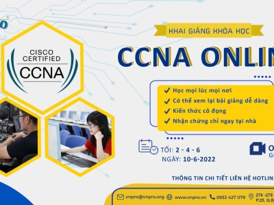 Nếu bạn xác định Quản Trị Mạng là một nghề vững chắc của mình trong tương lai gần?