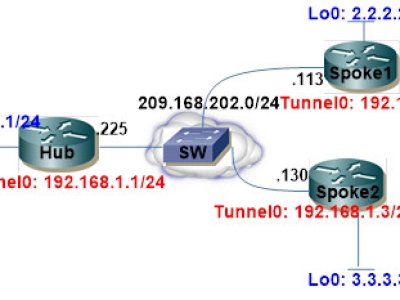 Quality of Service with Dynamic Multipoint VPN