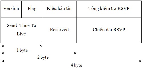 Định dạng các trường trong giao thức RSVP