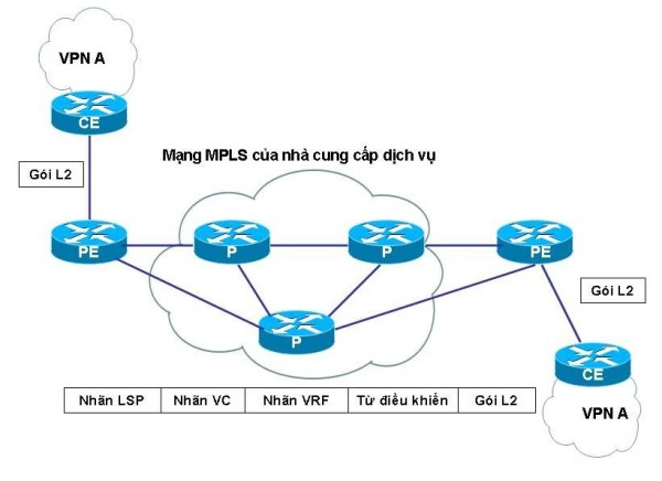 Mô hình MPLS L2VPN