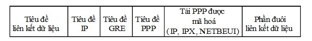 Cấu trúc gói PPTP