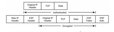 Hình 2.9 Gói IP được bảo vệ bởi ESP trong chế độ Tunnel