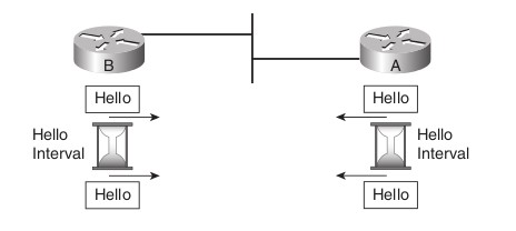 Các thông số Hello Timer