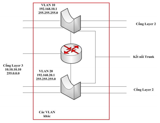 Cac loai cong trong Switch lop 3