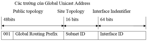 Cac truong cua Unicast