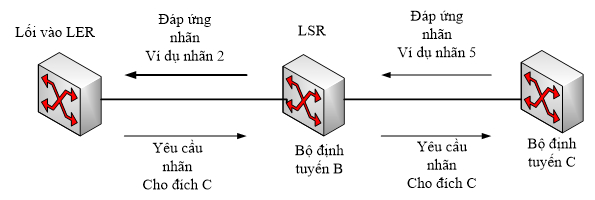 Co cau bao hieu