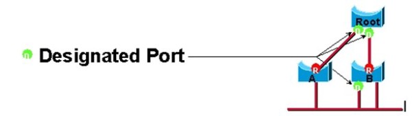 Designated Port