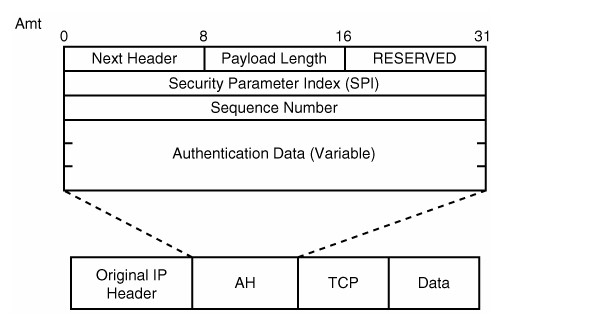 Hình 2.2 IP Packet được bảo vệ bởi AH