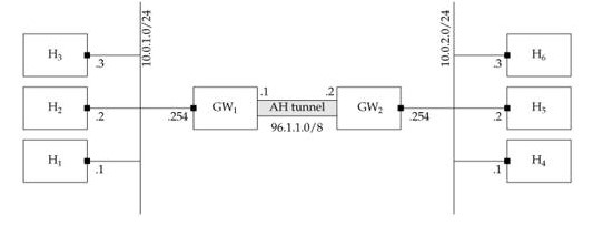 Hình 2.6 Tunnel - Mode  AH Tunnel