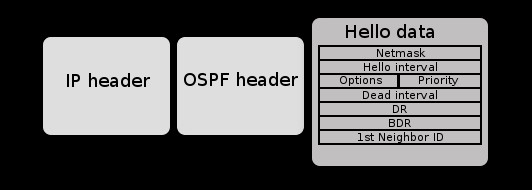 Nội dung của một gói tin OSPF Hello