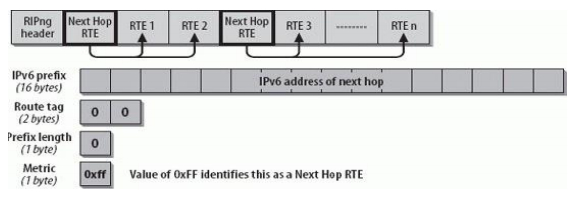 Next-Hop cua RTE