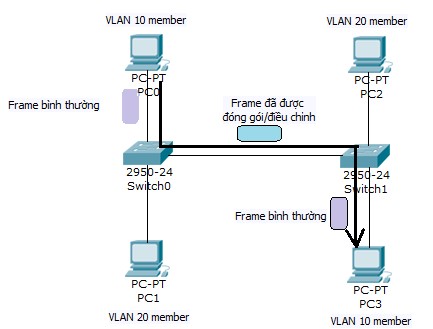 Nhận dạng VLAN frame