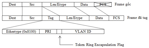 Sự khác nhau giữa Frame gốc và Frame đã tag