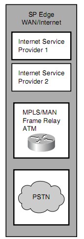 Service Provider Edge Module