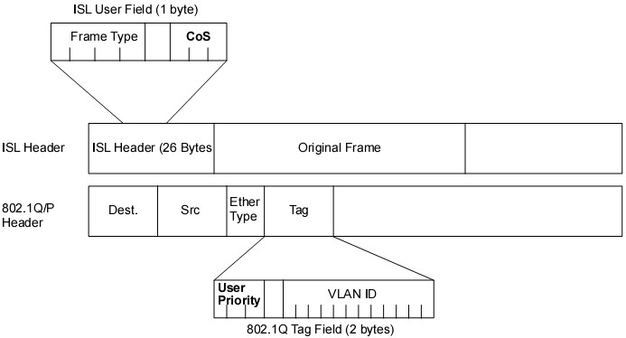 Trường LAN CoS bên trong ISL và 802.1Q IP header