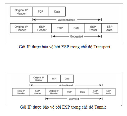 esp