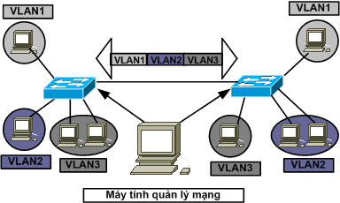 vlan